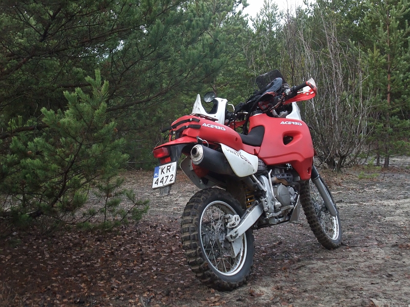 Obraz 099
